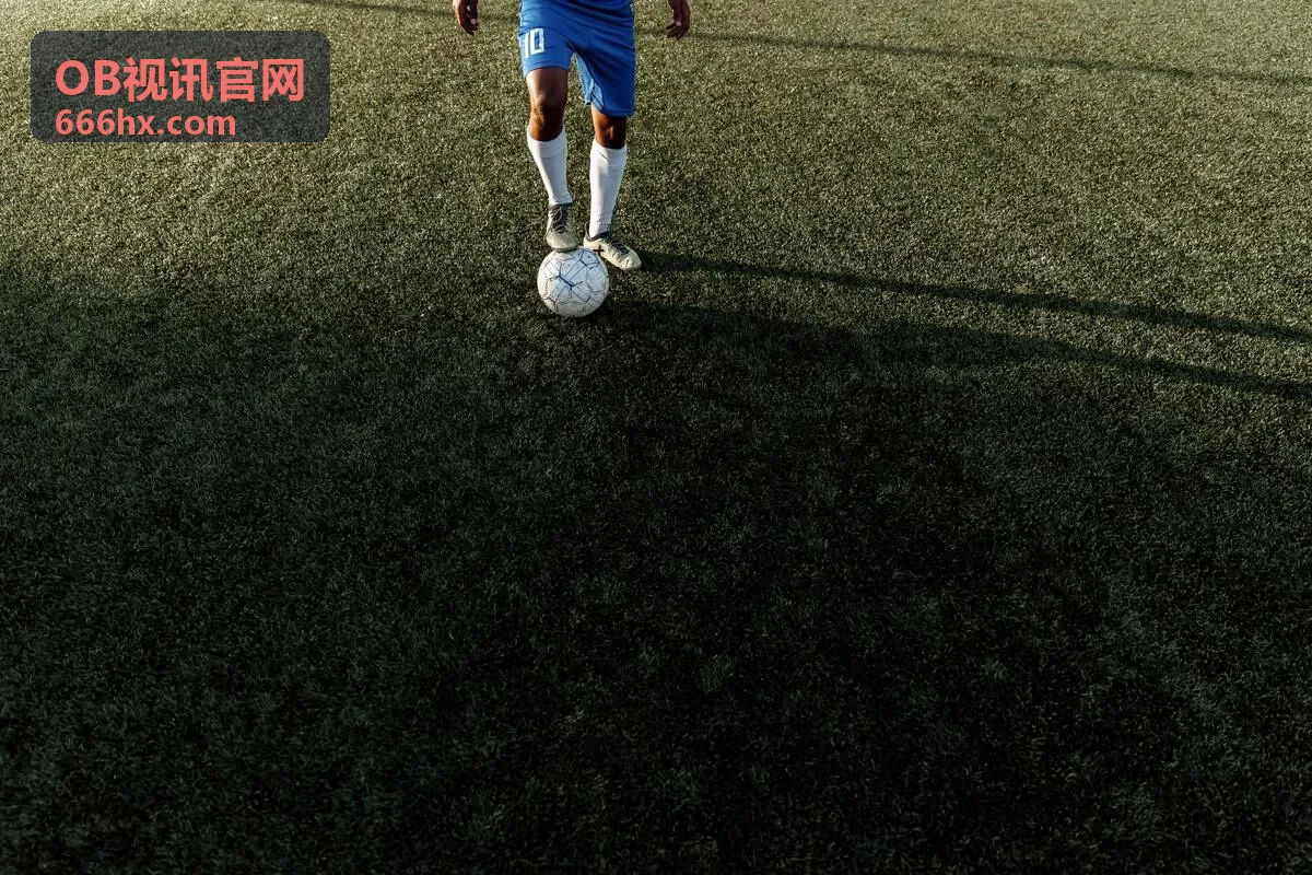 OB视讯核心服务示意图